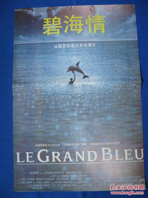 南九州大学传媒毕业证